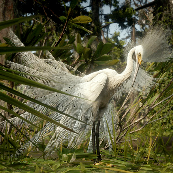 The elusive Snowy Egret from Red Dead Redemption 2
